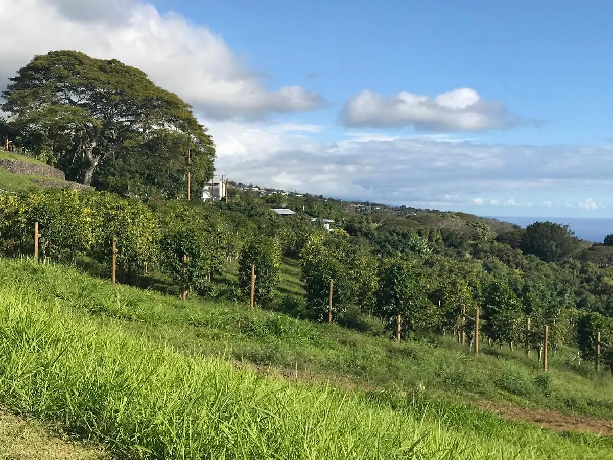 Guest house Nohokai At Kona Joe Coffee Farm Hotel Kealakekua