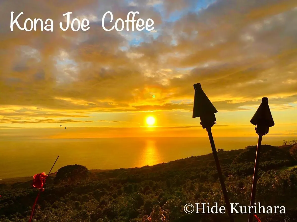 Nohokai At Kona Joe Coffee Farm Hotel Kealakekua 0*,  United States