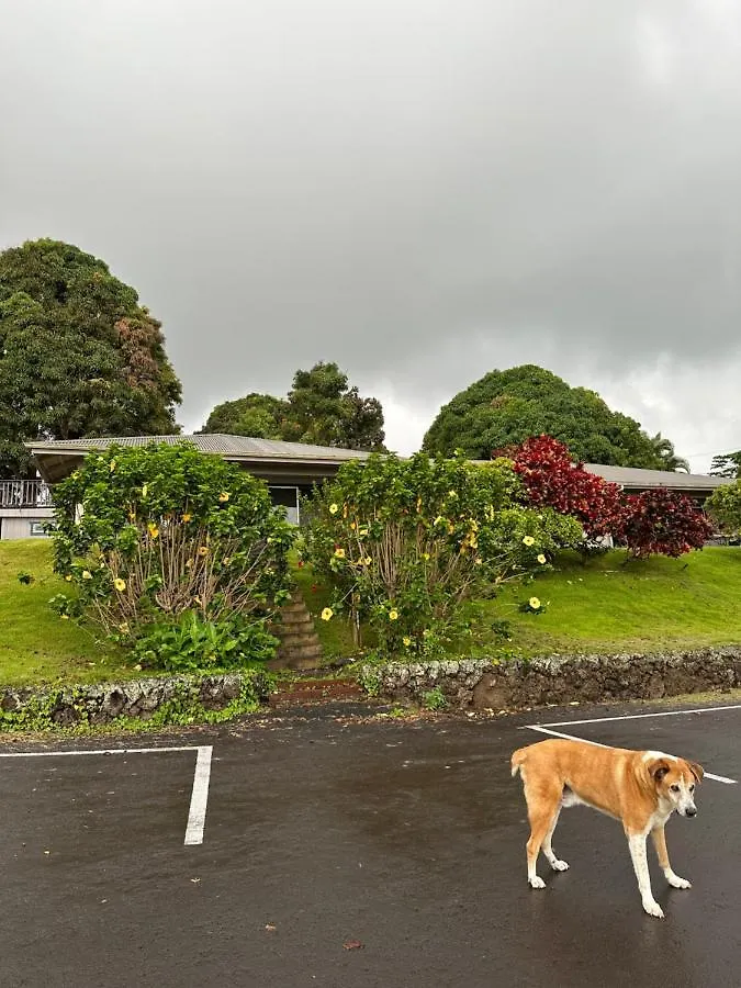Nohokai At Kona Joe Coffee Farm Hotel Kealakekua 0*,
